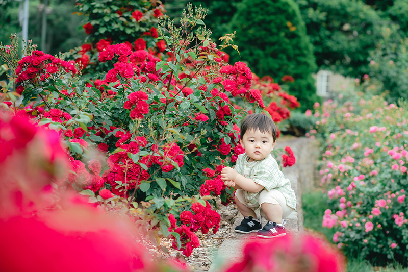 Location Planの撮影サンプル