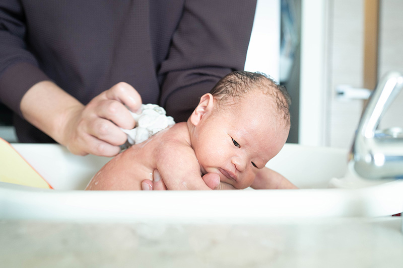 Natural Planの撮影サンプル